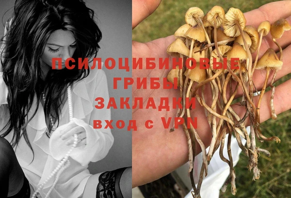 PSILOCYBIN Волоколамск