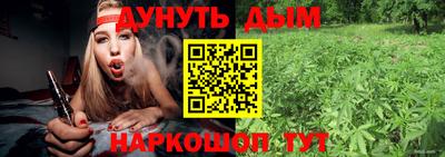 jwh Гатчина