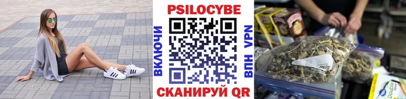 площадка как зайти  Губкин  Галлюциногенные грибы Magic Shrooms 