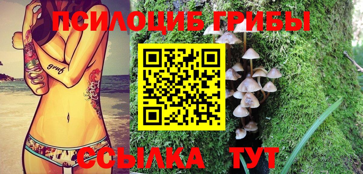 Губкин  Псилоцибиновые грибы ЛСД  закладки  Вход с VPN 