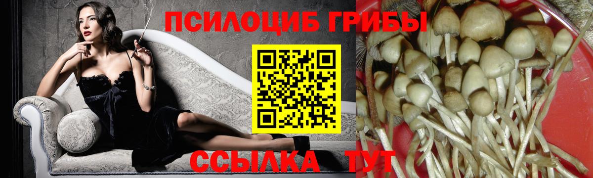 Псилоцибиновые грибы мухоморы  Губкин 