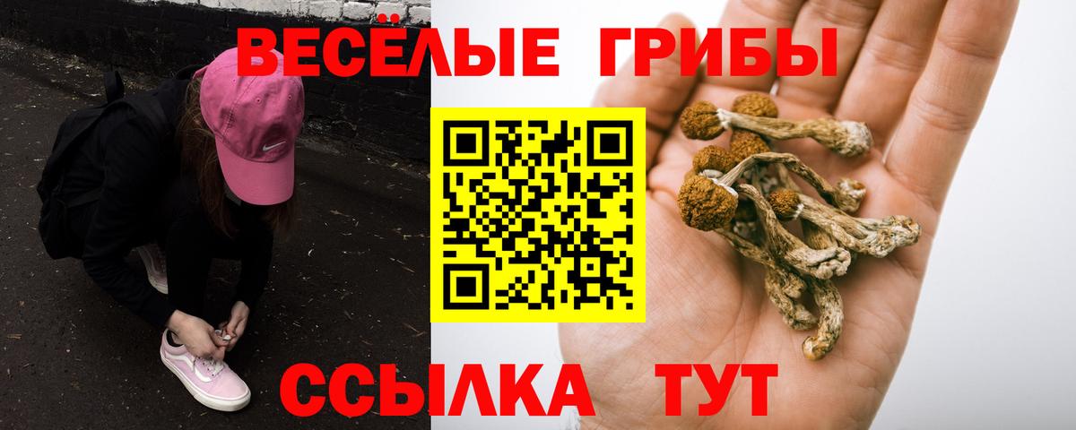 Псилоцибиновые грибы прущие грибы Губкин